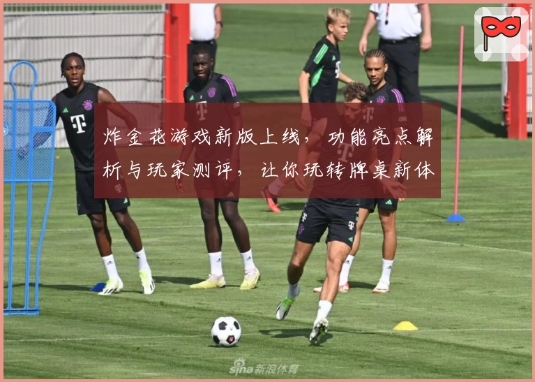 炸金花游戏新版上线,功能亮点解析与玩家测评,让你玩转牌桌新体验