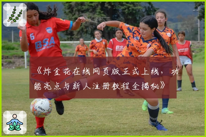 《炸金花在线网页版正式上线,功能亮点与新人注册教程全揭秘》