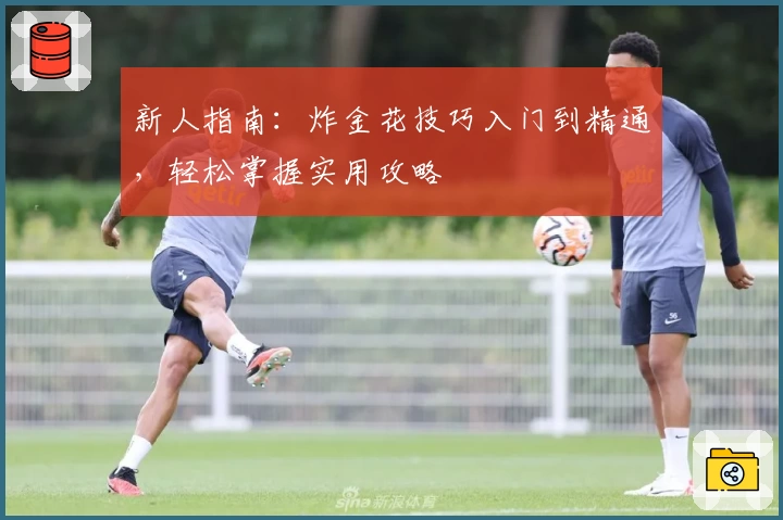 新人指南：炸金花技巧入门到精通，轻松掌握实用攻略