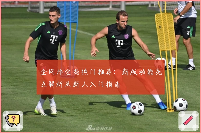 全网炸金花热门推荐：新版功能亮点解析及新人入门指南