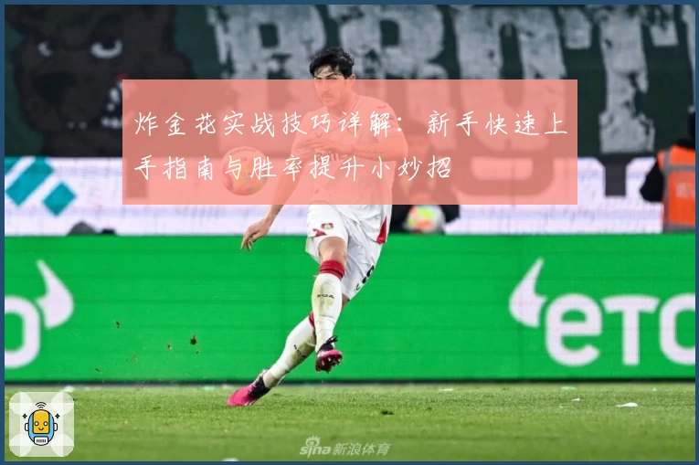 炸金花实战技巧详解:新手快速上手指南与胜率提升小妙招