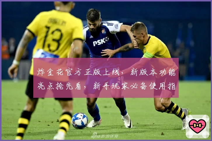 炸金花官方正版上线，新版本功能亮点抢先看，新手玩家必备使用指南